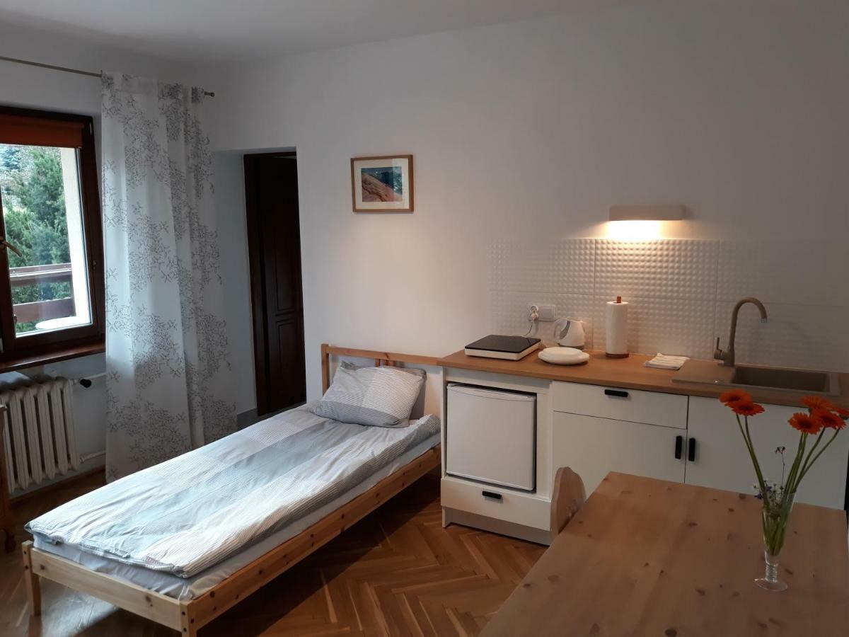 Willa Sichla Murzasichle Apartamento Exterior foto